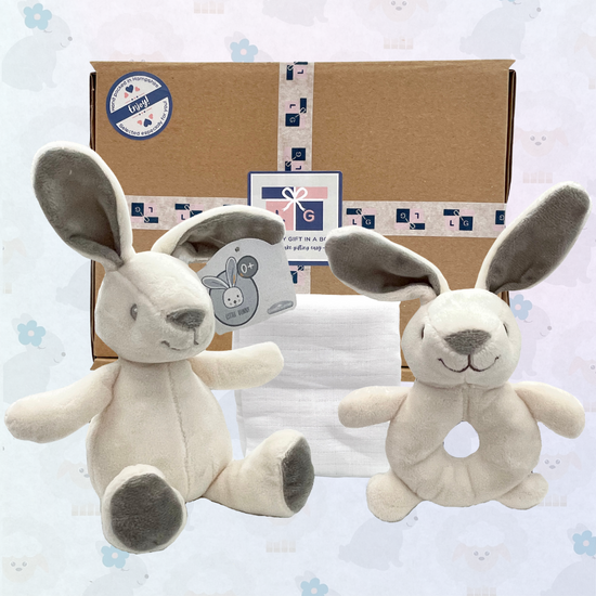 Welcome Baby Bunny Gift Box