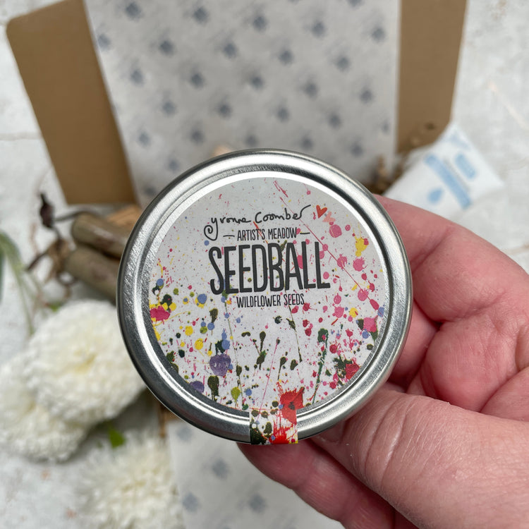 Wildflower Seedball Tin